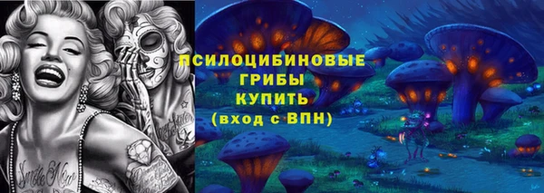 бошки Абаза