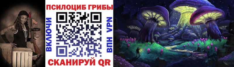 закладки  Исилькуль  Псилоцибиновые грибы Cubensis 